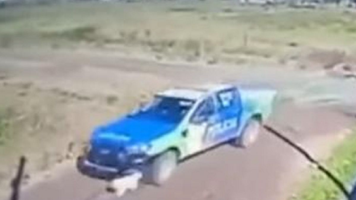 Policías atropellaron adrede a un perro y lo mataron