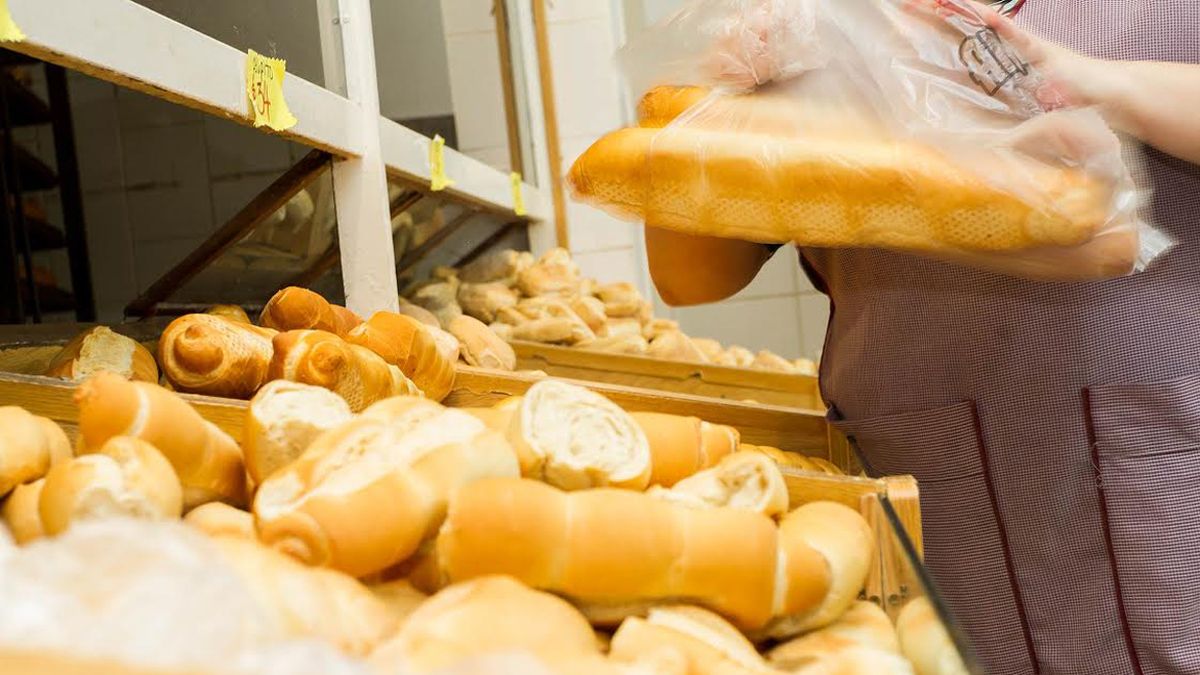 Desabastecimiento De Harina Augura Una Nueva Suba Del Precio Del Pan