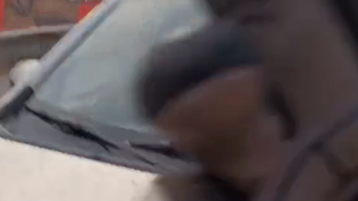 el conductor que agredio a manifestantes de la unco ya fue identificado: como sigue la causa
