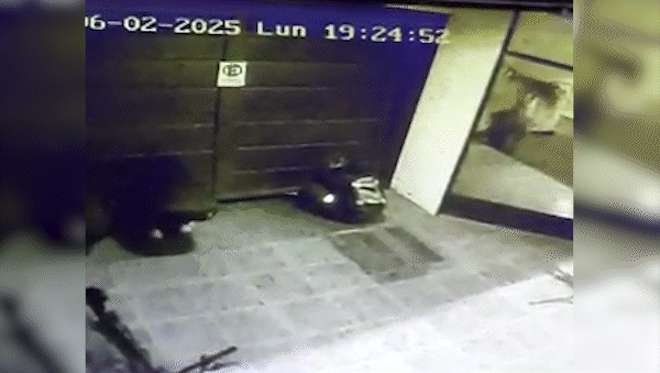 robo expres: en 50 segundos levantaron un porton de un edificio