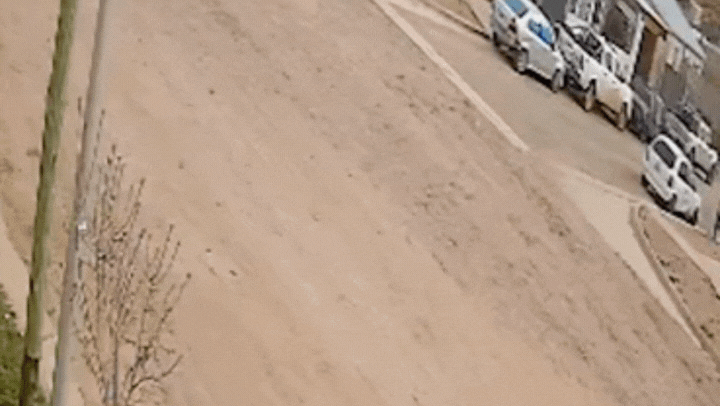 identificaron al patrullero que atropello y mato a una perrita en el oeste neuquino: que dijo la policia