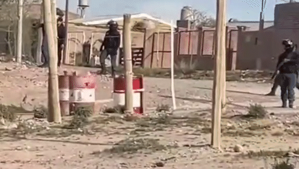 tiroteo y escandalo en centenario: un video muestra a policias a los piedrazos y el disparo a un perro