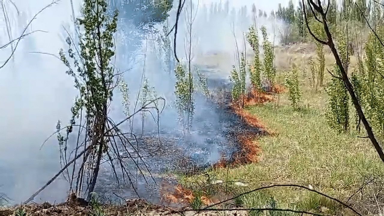 bomberos luchan contra un incendio de pastizales cerca de una estacion de servcios bomberos luchan contra un incendio de pastizales cerca de una estacion de servcios