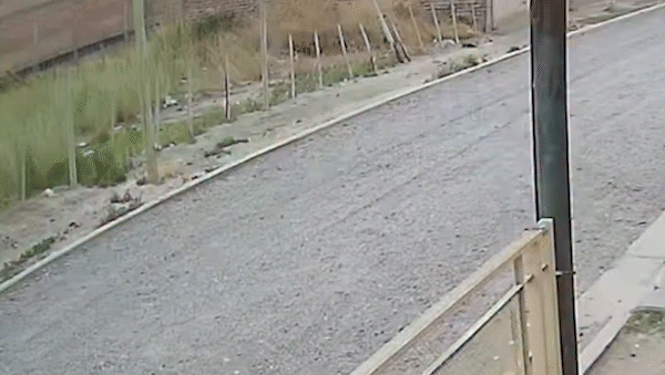 El patrullero iba a alta velocidad y sin sirenas.