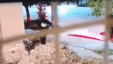 Los tres hombres fueron imputados y dos de ellos quedaron detenidos en prisión preventiva por el plazo de cuatro meses. Resta identificar al cuarto integrante de la banda. | LMCipolletti.com Los tres hombres fueron imputados y dos de ellos quedaron detenidos en prisión preventiva por el plazo de cuatro meses. Resta identificar al cuarto integrante de la banda.