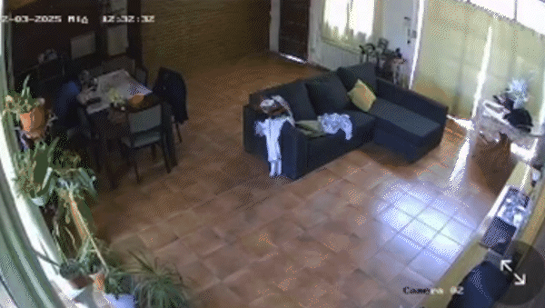 explosion en neuquen: un video muestra como se sintio en la casa lindante al edificio explosion en neuquen: un video muestra como se sintio en la casa lindante al edificio