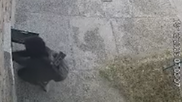 En un video, se ve como en apenas segundos, un sujeto dejó sin gas a un domicilio. En un video, se ve como en apenas segundos, un sujeto dejó sin gas a un domicilio.