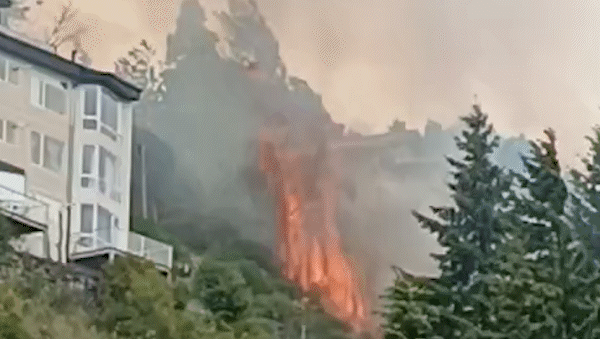 Las llamas provocaron la evaluación de los pacientes de un Centro Médico y vecinos abandonaron sus casas.&nbsp;