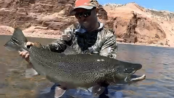 El increíble pescado fue descubierto en las aguas del Limay Medio.&nbsp;