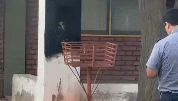 El incidente ocurrió esta tarde alrededor de las 20.40 en la Escuela Primera 313. | LMCipolletti.com El incidente ocurrió esta tarde alrededor de las 20.40 en la Escuela Primera 313.