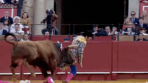 Un torero recibió una brutal cornada y está grave: la impactante herida que sufrió
