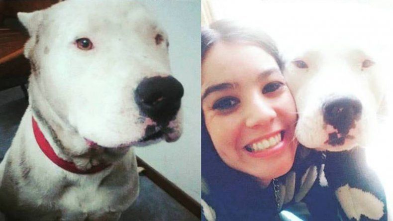 <p>&nbsp;Ya pasaron 44 d&iacute;as sin Zeus.&nbsp;</p>