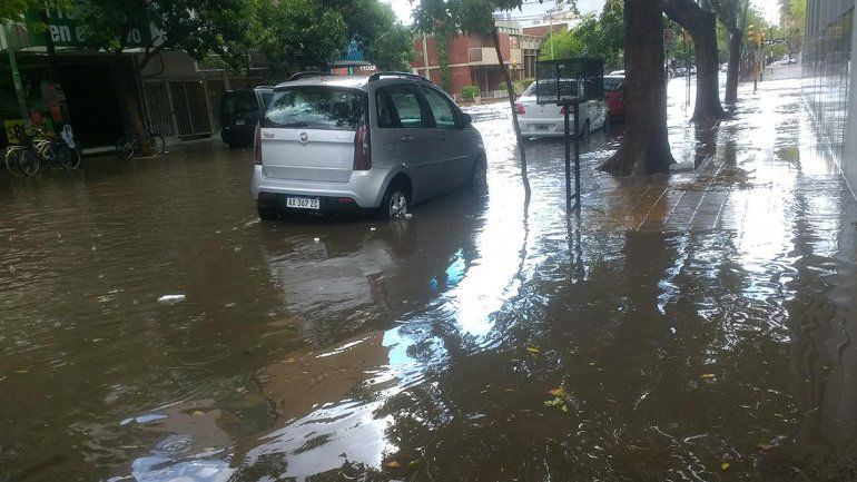 Roca y Miguel Muñoz.