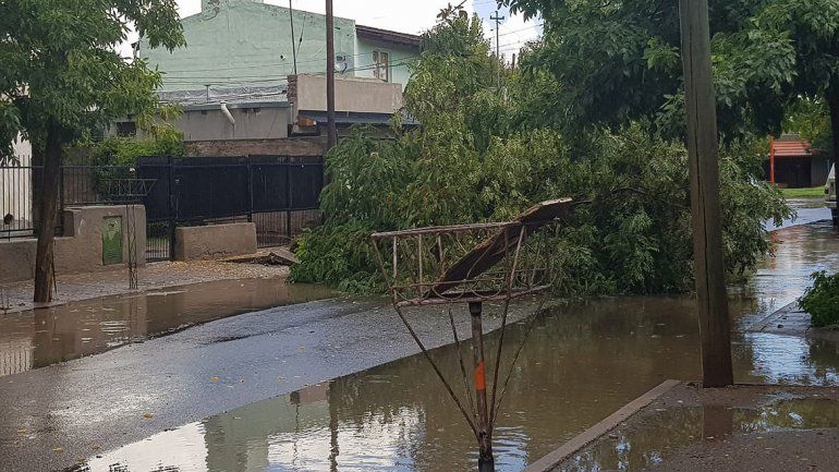 Libertad, entre teniente Teniente Ibáñez y Avenida Alem.