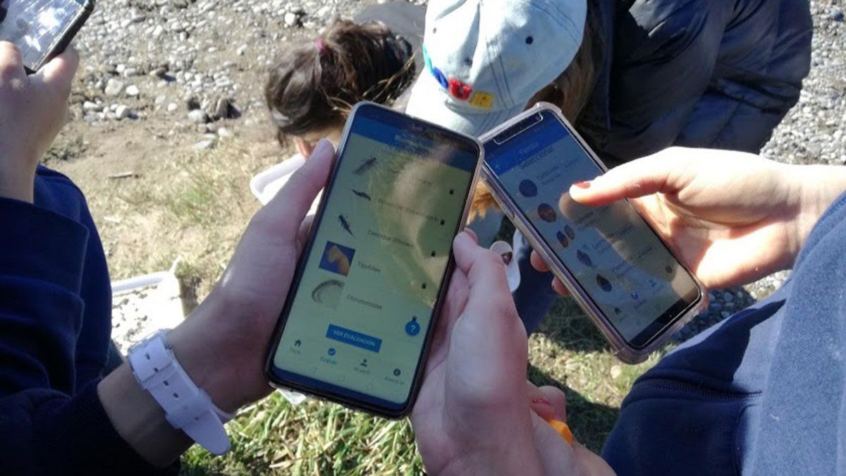 La UNRN lanzó una app para medir la salud de los ríos - LMCipolletti.com