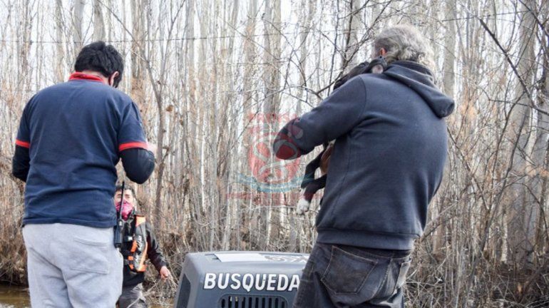 Increíble operativo de rescate de tres perros aislados por la crecida 
