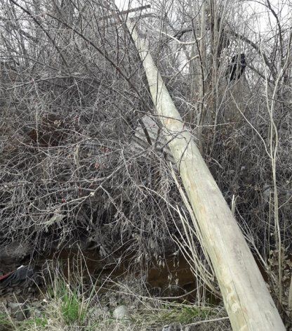 Poste de luz caído.