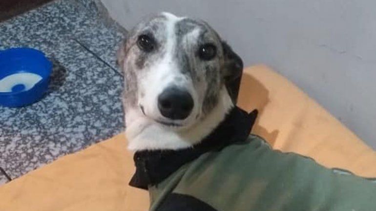 Suspendieron la audiencia prevista por el caso Estelita 