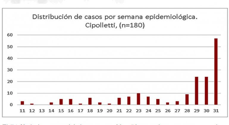 Fuente: Unidad de Vigilancia Epidemiol&oacute;gica del hospital de Cipolletti. 