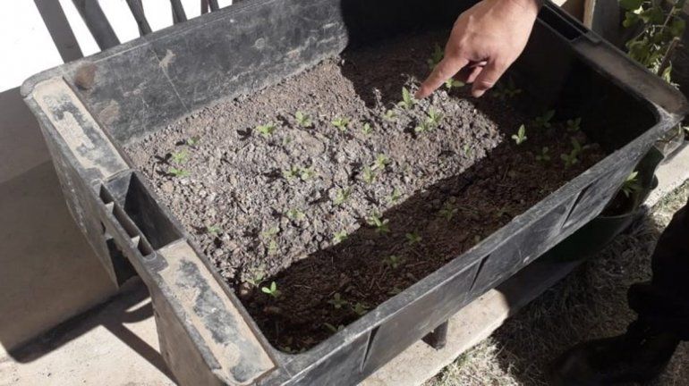 Encontraron un arma de fuego y drogas en un allanamiento