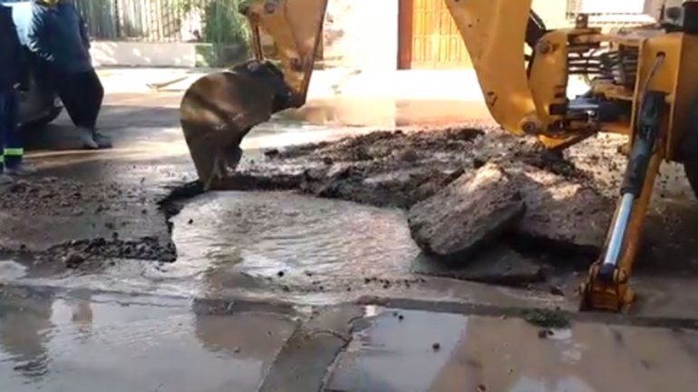 La rotura de un ca&ntilde;o provoc&oacute; una importante p&eacute;rdida de agua 