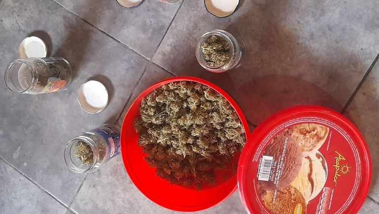 La marihuana secuestrada en la vivienda del barrioi 10 de Febrero allanada este lunes. 