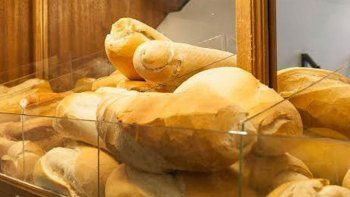 el pan puede subir hasta los $100 por el costo de la harina