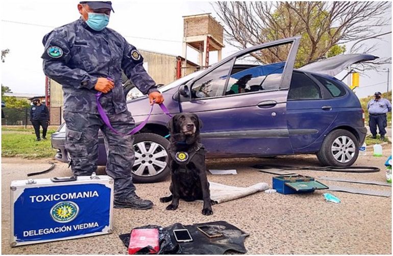 La Policía secuestró cocaína en Viedma y marihuana en Allen