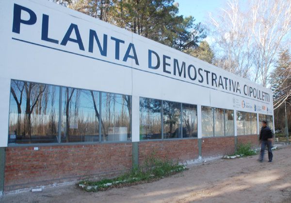 Aumentará la producción de la Planta Demostrativa