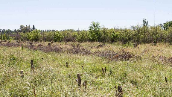 Postergarían definición de la ordenanza de usos no permitidos en la zona rural