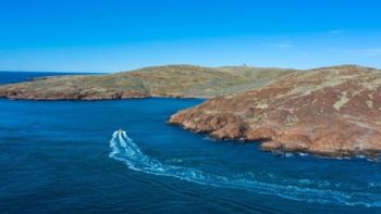 En la nueva reserva Patagonia Azul hay unas 60 islas e islotes donde anidan inumerbles especies de aves marinas. 