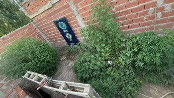 Foto ilustrativa. Foto ilustrativa.