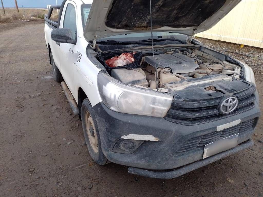 Traía carne de La Pampa escondida en el motor de la camioneta