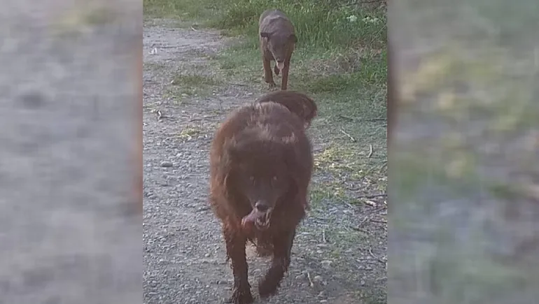 Ely, su histórica novia, lo acompañó hasta el último día. Ely, su histórica novia, lo acompañó hasta el último día.