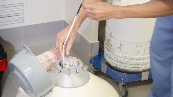 El tratamiento permitirá a la mujer ser mamá en el futuro.