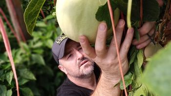 Después de abandonar la docencia y regresar años más tarde, el ingeniero agrónomo Walter Mela transformó una vieja idea en un proyecto que alimenta a cientos de estudiantes y forma a los agrónomos del futuro.