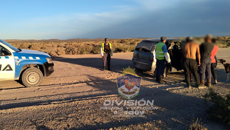 Cazaban choiques con galgos y cayeron tras una persecución