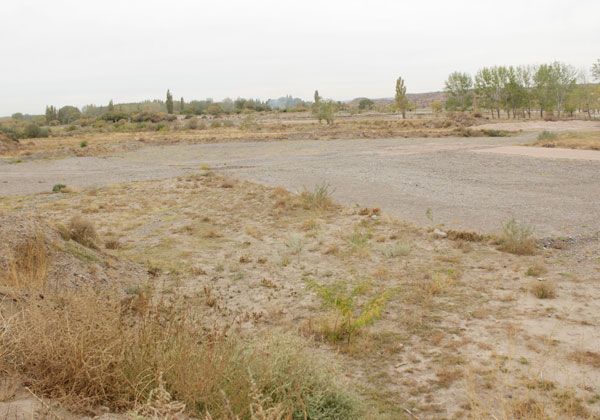 Con ozono purificarán el agua de los futuros piletones