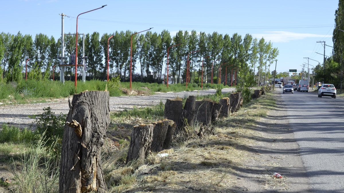 Se confirmó la fecha de inicio para las obras sobre la calle Julio Dante Salto en Cipolletti.