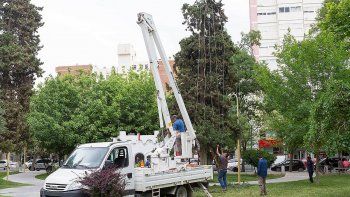 armaron el pinito de navidad en la plaza san martin