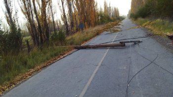el temporal de viento provoco varios cortes de luz en cipolletti