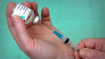 meningitis en cipolletti: advierten el riesgo de no vacunarse