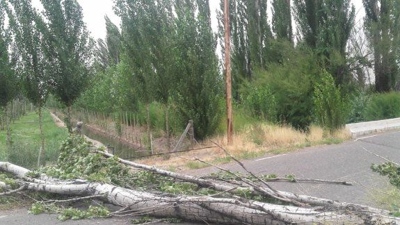 El viento dejó más de un día sin luz a miles de cipoleños