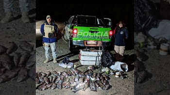 El operativo de Fauna secuestró más de 50 truchas en Neuquén El operativo de Fauna secuestró más de 50 truchas en Neuquén