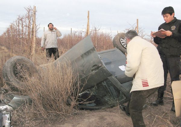 Robó, huyó a toda velocidad y volcó