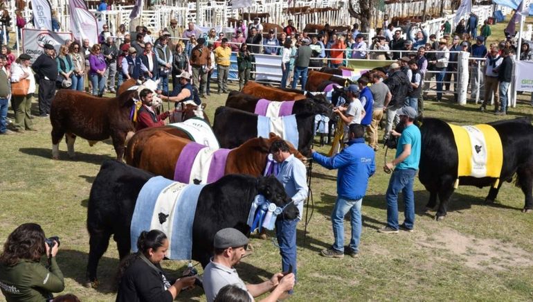 A fines de este mes arranca el cronograma provincial de exposiciones rurales en Río Colorado.&nbsp;