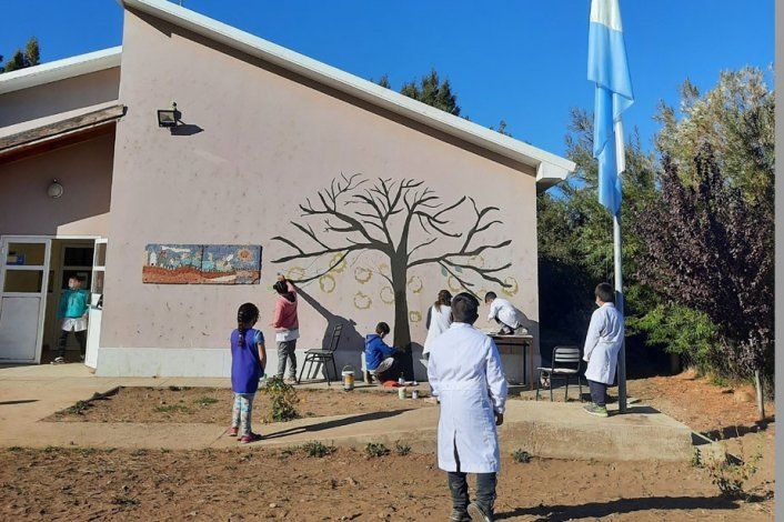 Sin contagios y con buena presencialidad en las aulas&nbsp;