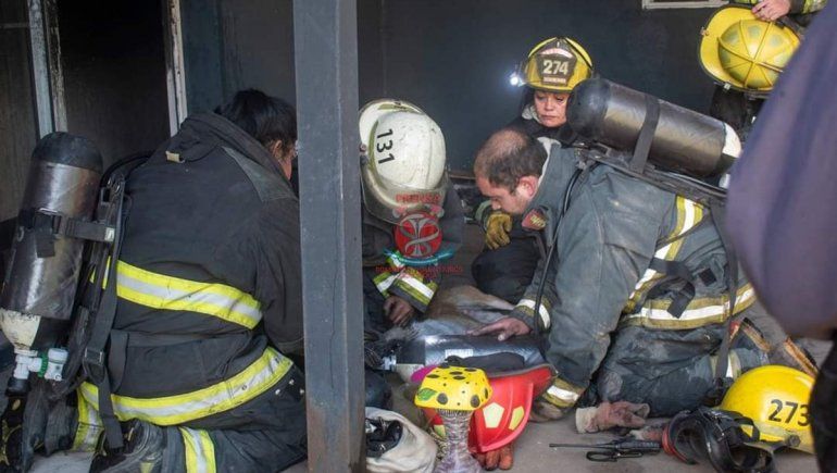 Bomberos le hicieron RCP a un perro rescatado de un incendio y le salvaron la vida