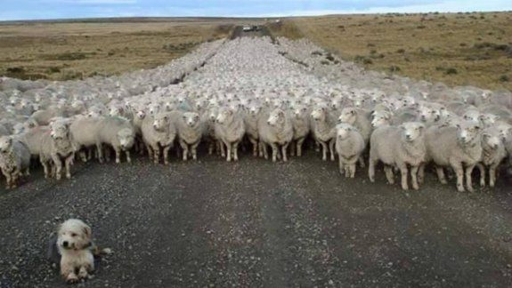Así fue el piquete sobre la Ruta 40 que se volvió viral 