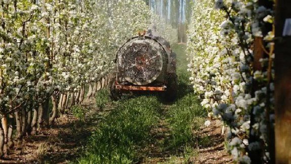 Ya se puede acceder a créditos para la compra de agroinsumos